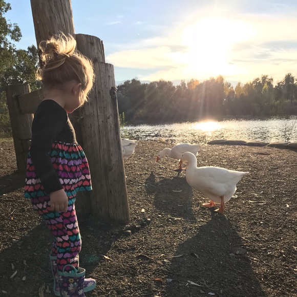 Meet your Posher, Charene - Picture 1 of 1